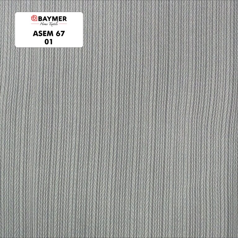 Asem 67 01